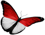 🦋