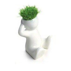 Boneka Rumput Kecil (8 pcs)