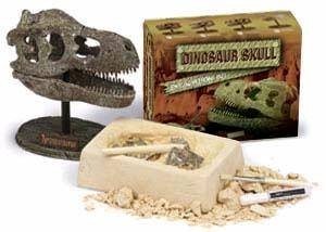 Mainan Edukasi Penggalian Tengkorak Dinosaurus (12 pcs)