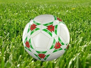 BOLA SEPAK - MODEL 1 (6 pcs)