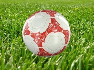 BOLA SEPAK - MODEL 2 (6 pcs)