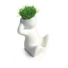 Boneka Rumput Kecil (8 pcs)