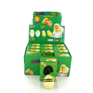 ANAK AYAM TUMBUH DI DALAM TELUR (12 pcs)