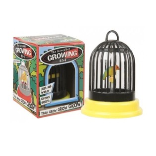 Burung Tumbuh dalam Sangkar (24 pcs)