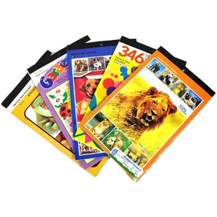 Paket Grosir Buku Stiker Campur (108 pcs)