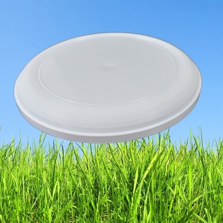FRISBEE STANDAR 21 CM (Isi 25 pcs)