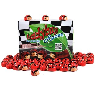 KEPIK FRIKSI DALAM PAJANGAN (36 pcs)