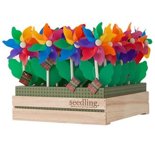 Kincir Angin SEEDLING dalam Display (20 pcs)
