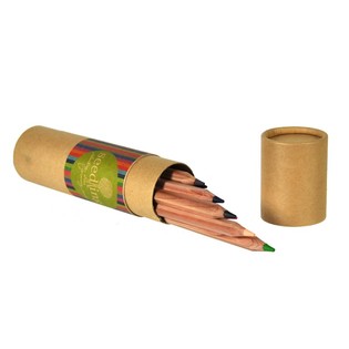 Seedling - 12 Pensil Warna Tebal dalam Tabung (Isi 4 Set)