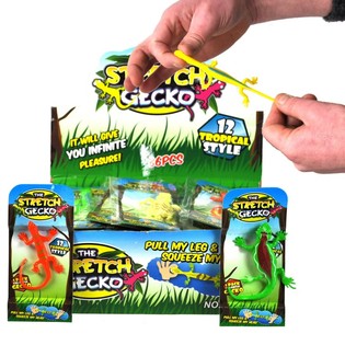 Kadal elastis dalam display (36 pcs)
