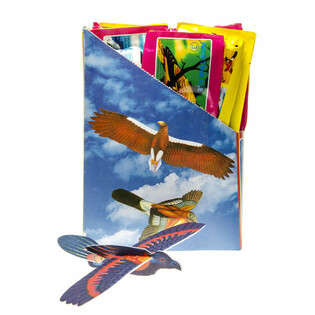 Mainan Pesawat Gabus Karakter Burung dalam Display (48 pcs)
