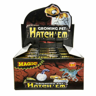 Mainan Edukasi Telur Dinosaurus Tumbuh dalam Display (12 pcs)