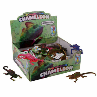 Display Bunglon Berubah Warna (48 pcs)